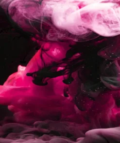 Women Bold Fragrances