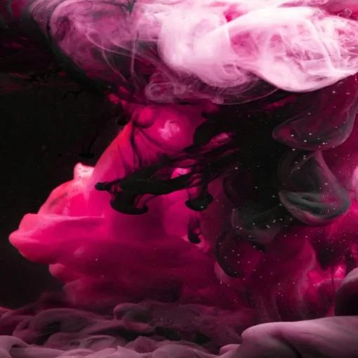 Women Bold Fragrances