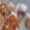 men fall and winter fragrances