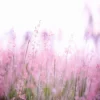 Women spring and summer fragrances