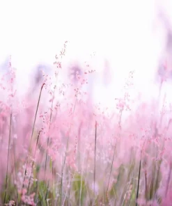 Women spring and summer fragrances