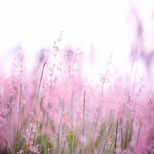Women spring and summer fragrances