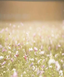 Men spring and summer fragrances