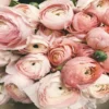 women floral fragrances